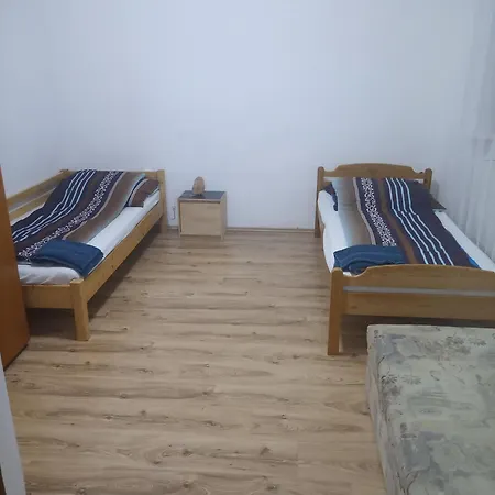 Garden Free Parking Air-conditioned Apartman Debrecen